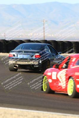 media/Mar-09-2025-Speed SF (Sun) [[8a8bdab083]]/Enduro Race/